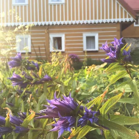 Horska U Hancilu Chalet *