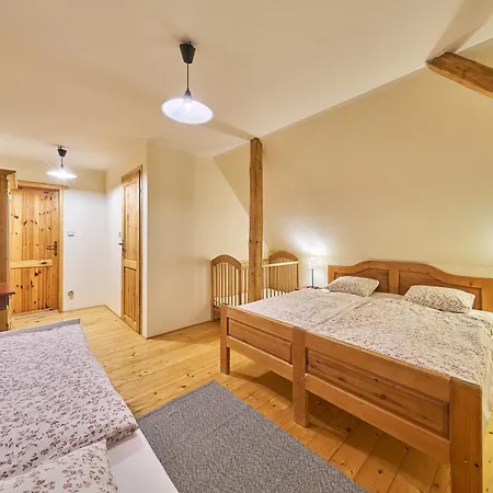 Chalet Horska U Hancilu *